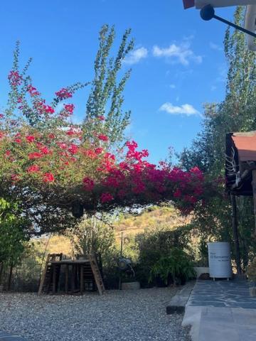 Finca El Remanso De Marta Málaga Buitenkant foto